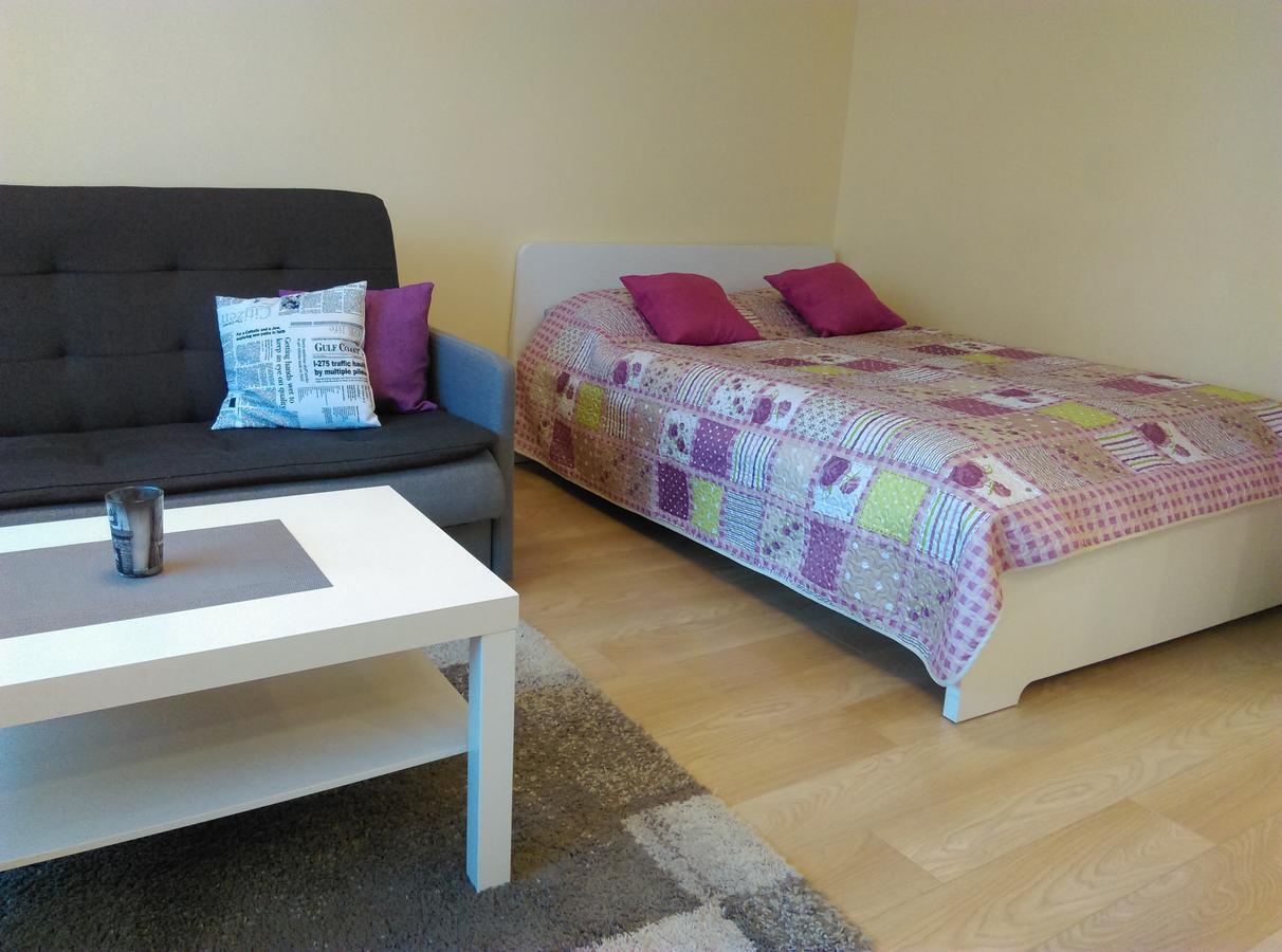 Gina'S Apartment Partizanu G Kaunas Exteriér fotografie